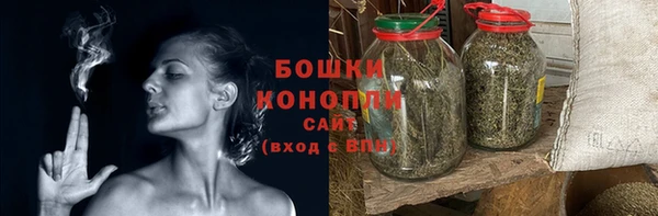 прущие грибы Володарск