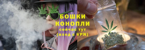 прущие грибы Володарск