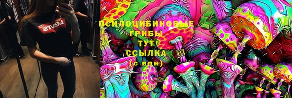 ГАЛЛЮЦИНОГЕННЫЕ ГРИБЫ Тобольск