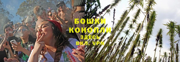 прущие грибы Володарск