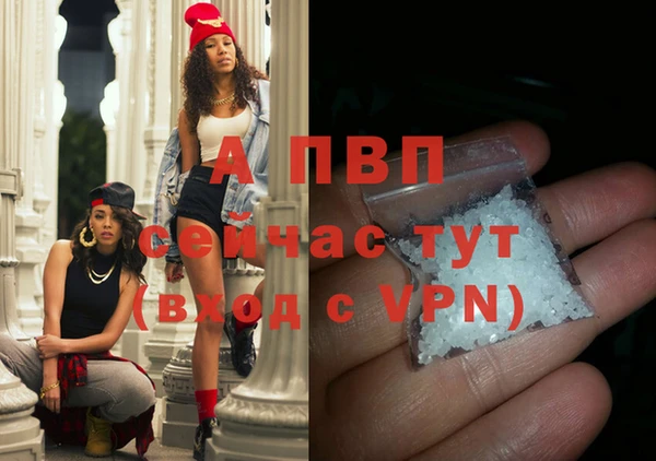 прущие грибы Володарск