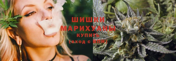 прущие грибы Володарск