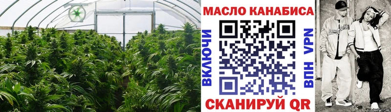 ОМГ ОМГ онион Новоржев ТГК вейп